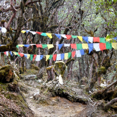 2014 Bhutan Country 1