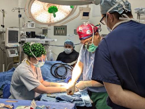 Guatemala 2024 by Beth Roddy, RN